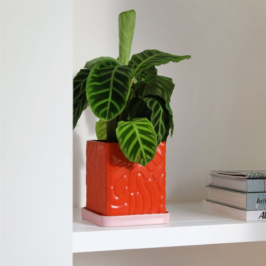 Vases | &K Planter Tribe Red